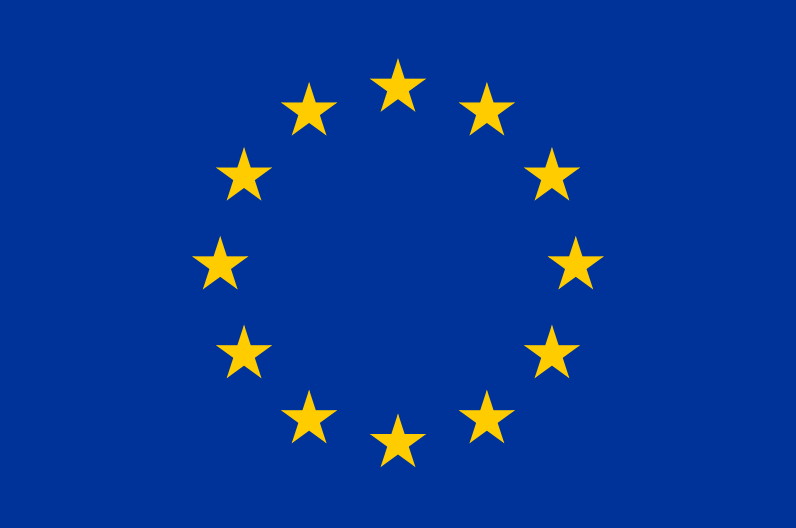 Euro_flag.jpg
