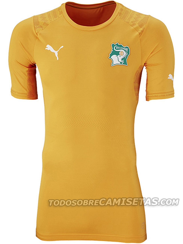 Ivory-Coast-2014-PUMA-world-cup-home-kit-3.jpg