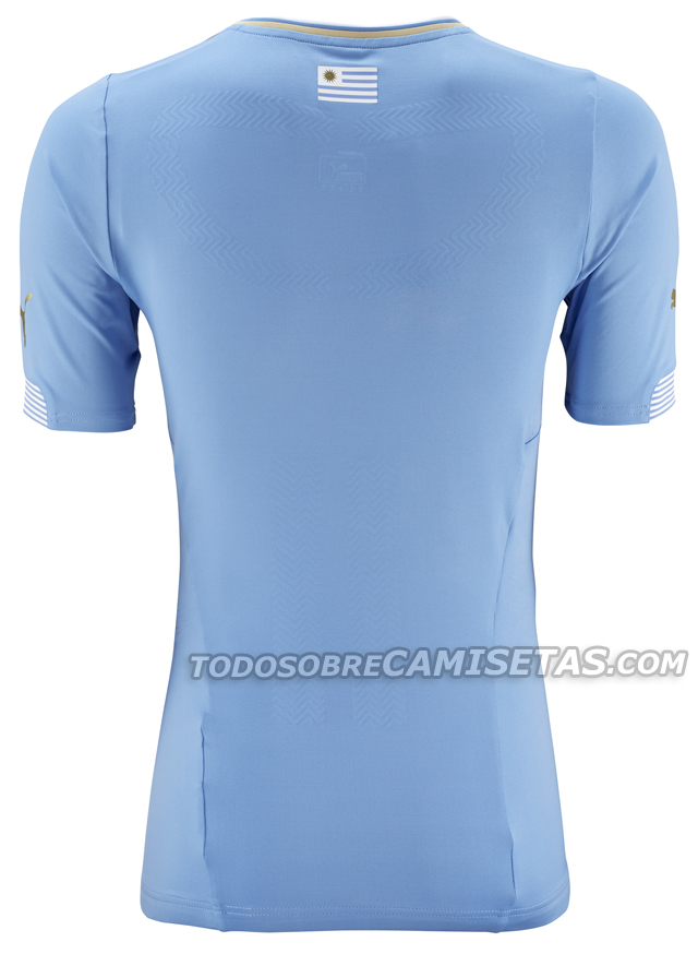 Uruguay-2014-PUMA-world-cup-home-kit-2.jpg